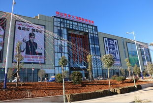 保山 先行先試 新常態下力促轉型升級